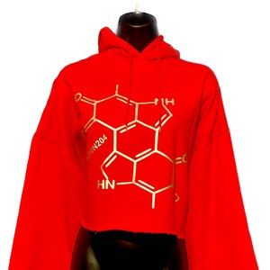 Melanin Molecular Formula Crop Hoodie